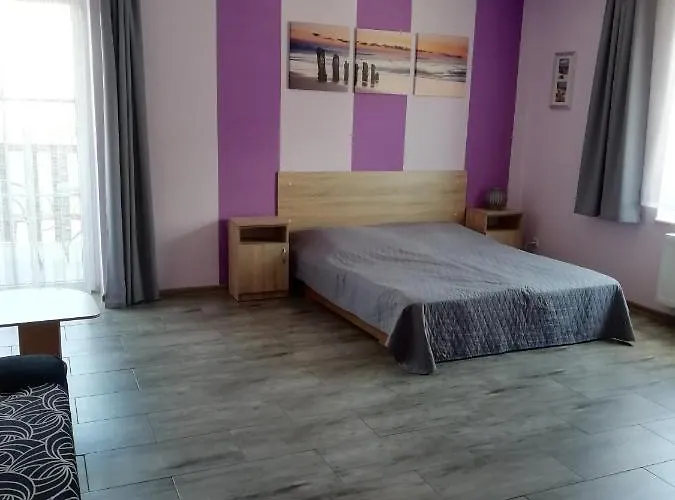 Adler * Władysławowo